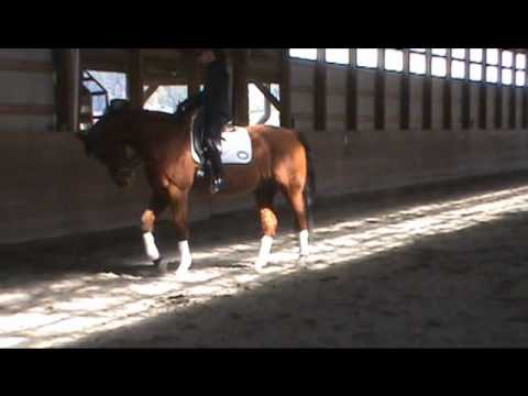 Dressage Schoolmaster Commodus and Lori Skrip Apri...