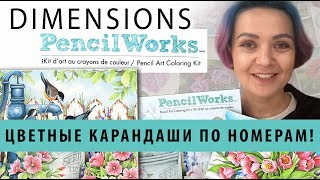 Цветные карандаши по номерам 🎨Обзор. Dimensions Дименшнс Цветные карандаши по номерам 🎨Обзор. Dimensions Дименшнс