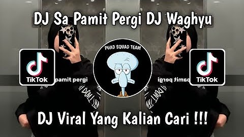 DJ SA PAMIT PERGI DJ WAGHYU MEYDARAHMA VIRAL TIK TOK TERBARU 2024 YANG KALIAN CARI