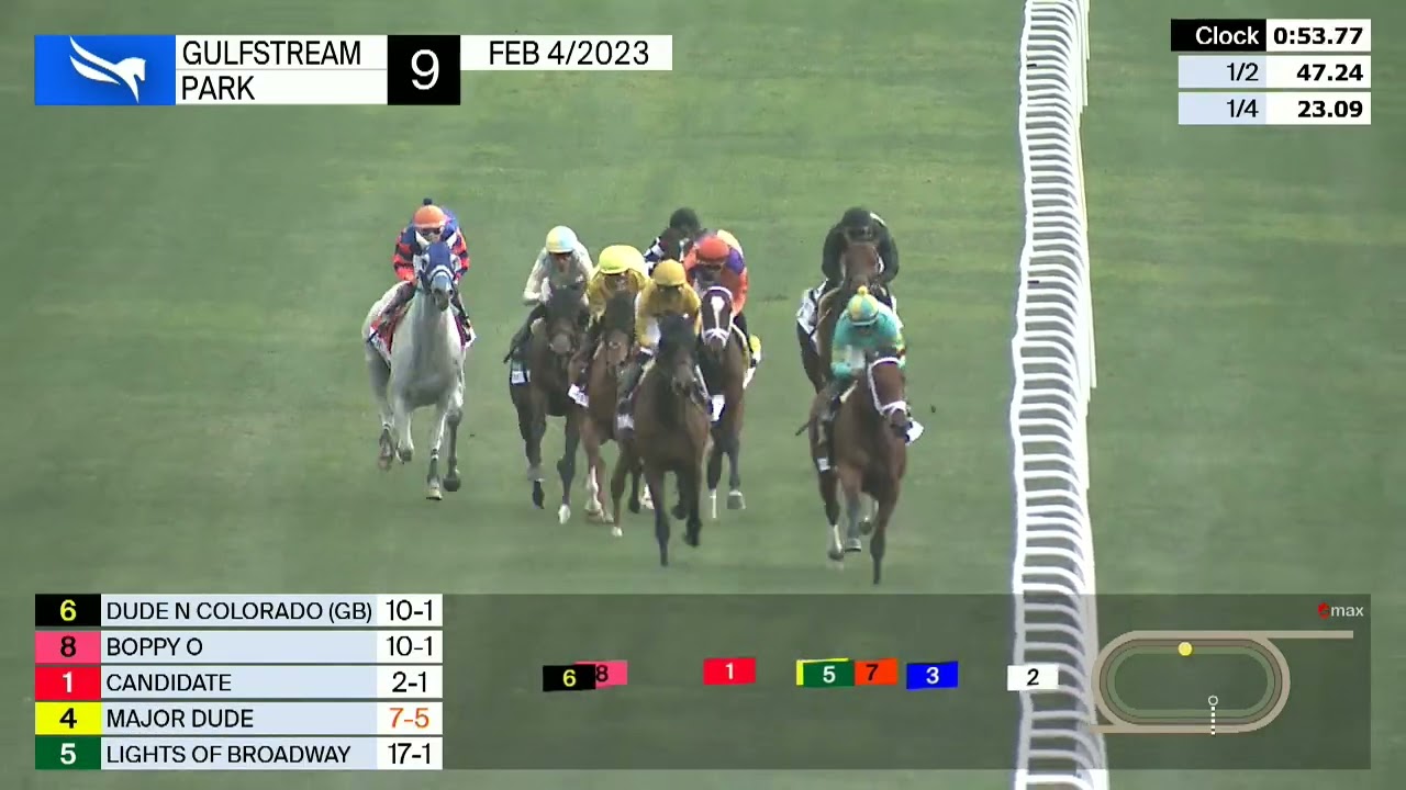 Gulfstream Park Carrera 9 (The Kitten's Joy Gr.3) - 4 de Febrero 2023