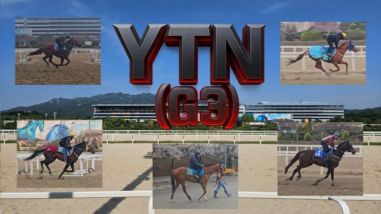 [2026년 제25회 YTN배(G3)조교현장/유재필의 미.보.경] 미리 보는 경마~!