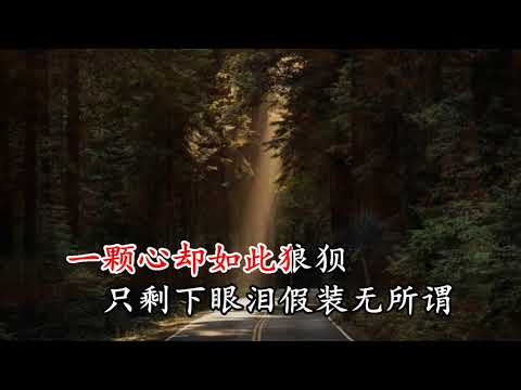 晨熙   为你心碎  KTV
