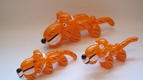 Tiger Balloon Tutorial - Video 70 - BalloonTube with Graham Lee