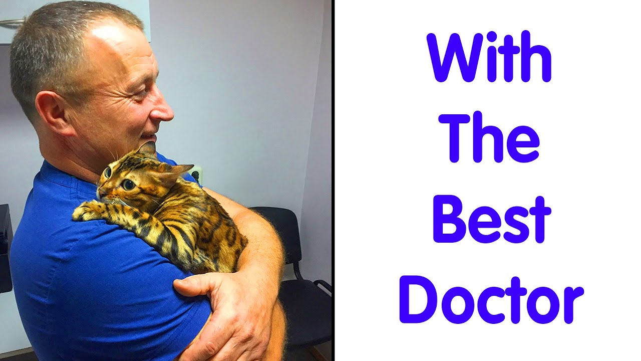 Times Vets Encountered The Cutest Pets At Work And Just Had To Take A ...