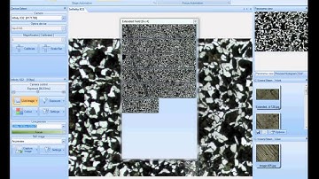 DeltaPix InSight   Automatic Stitching