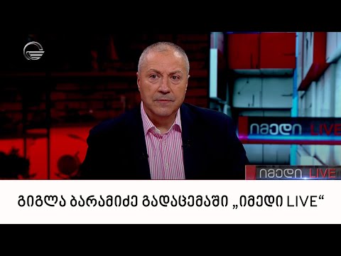 პროფესორი, დიპლომატი, გიგლა ბარამიძე გადაცემაში „იმედი LIVE“