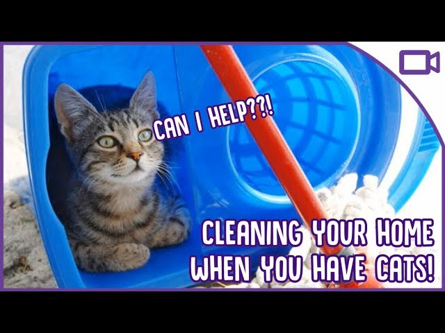 Keep Your Home Clean And Your Cat Comfy With This Waterproof - Temu