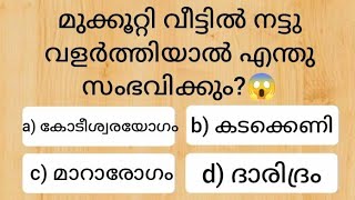 Episode 569 Malayalam GK questions and answers നിങ്ങൾക്ക് അറിയാവുന്ന ഉത്തരം കമൻ്റ് ചെയ്യൂ