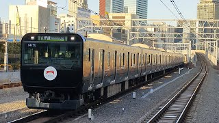 E235系0番台ﾄｳ15編成（黒い山手線）が高輪ゲートウェイ駅2番線に到着停車する動画