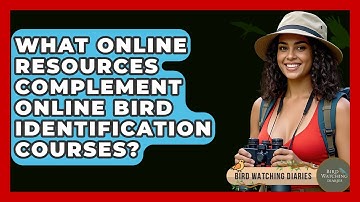 What Online Resources Complement Online Bird Identification Courses? - Bird Watching Diaries
