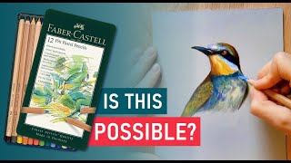 How to Draw a Bird | Set of 12 Pastel Pencils | Beginner Tutorial