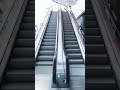 Escalator Escalator Escalator Escalator