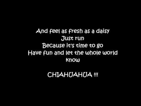 Chihuahua Lyrics Dj Bobo