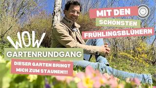 Ein alter garten zeigt mir, wie es geht! Heimische frühlingsblüher, vermehren sich ganz alleine