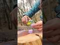 Deffinitely It Works 🔥 Bushcraft and Survival 🌲#camping #bushcraft #survival #asmr #diy