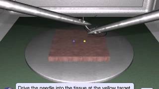 LapSim Suturing & Anastomosis: Stitch & Square Knot