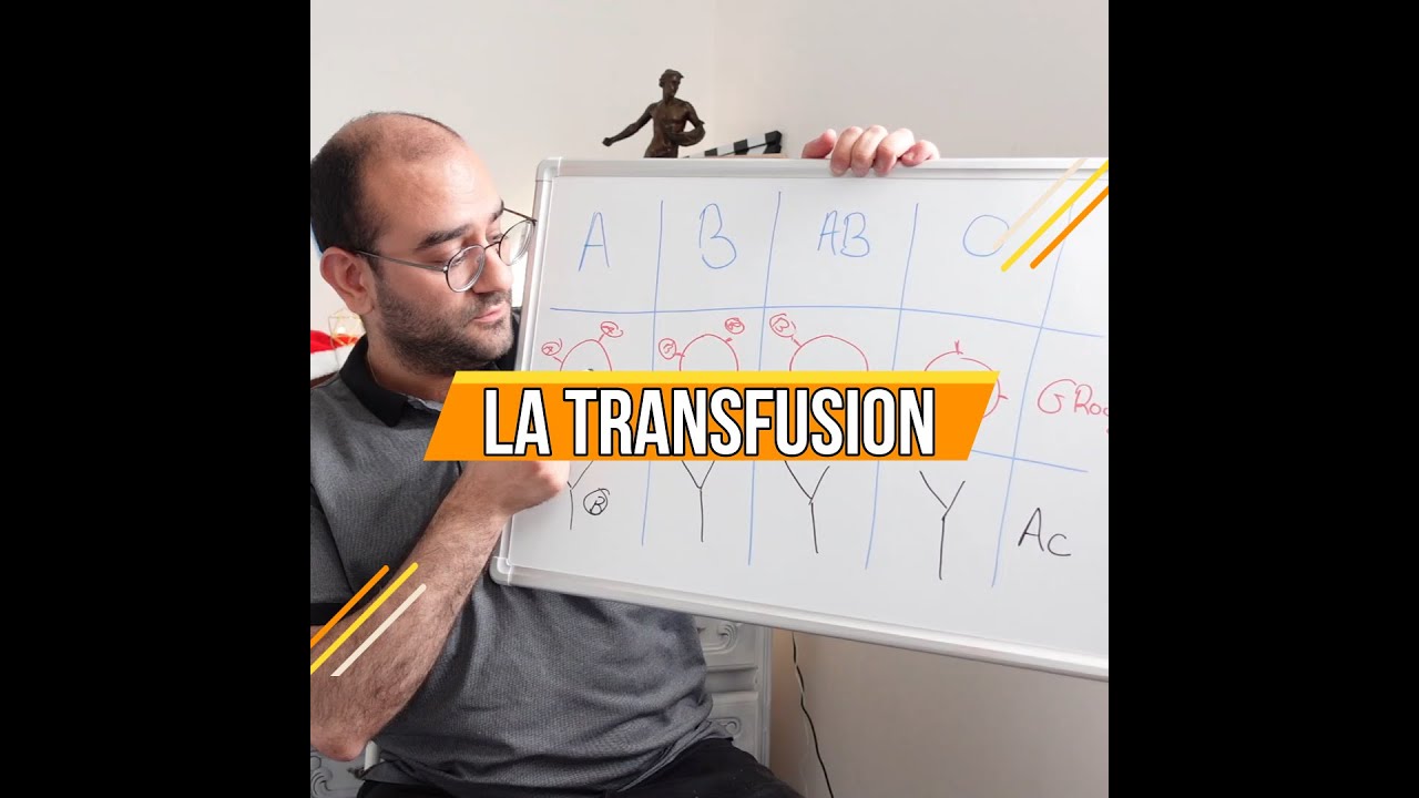Transfusions et Groupes Sanguins