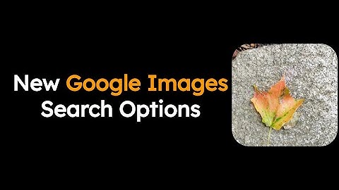 New Google Image Search Options