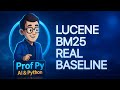 Build Lucene-grade BM25 search from Python with Pyserini