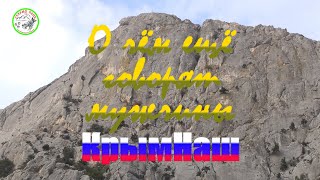 О чём ещё говорят мужчины О чём ещё говорят мужчины