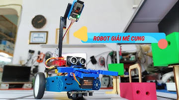 🚀 Giải Vàng Robot Giải Mê Cung – Hành Trình "Giải Cứu Rừng Xanh"! 🌿