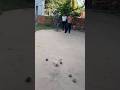 😮 Une partie de pétanque captivante et disputée#MastersDePetanque #Petanque #Pétanque
