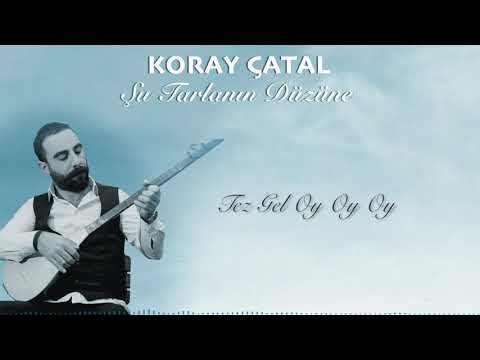 Koray Çatal - Şu Tarlanın Düzüne // Lyrics Türkü Dinle