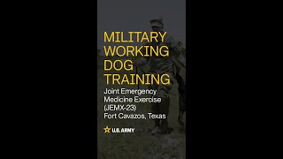 #Training Army K9s!