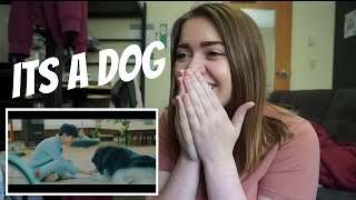 Day6 - Im Serious (장난 아닌데) MV Reaction