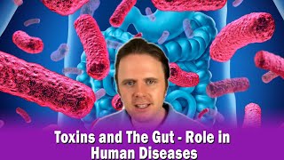 Toxins and The Gut - Role in Human Diseases