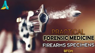 Forensic Medicine - Practical - Firearms Specimens (1) - BFOM