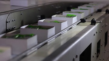 High Speed Robotic Pick and Place Cell