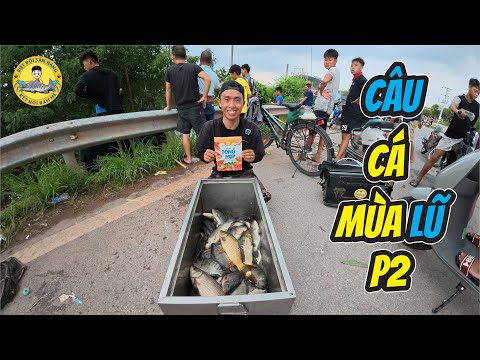 Câu Cá Mùa Lũ Cả Làng Rủ Nhau Đi Giải Cứu Cá?