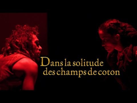 dans-la-solitude-des-champs-de-coton