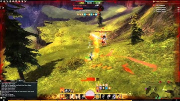 Guild Wars 2 - D/D Elementalist vs Warrior - WvW Roaming