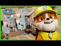 Pups save scared Elephants from a Jungle Temple! | PAW Patrol | Cartoons for Kids Compilation