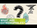 Understanding Extremophiles