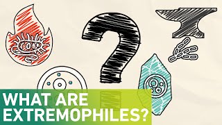 What are extremophiles?