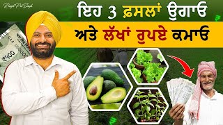 ਇਹ ਤਿੰਨ ਚੀਜ਼ਾਂ ਪਿੰਡ ਵਿੱਚ ਸ਼ੁਰੂ ਕਰ ਕੇ ਲੋਕ ਬਣ ਰਹੇ ਨੇ ਅਮੀਰ| Small Investment Big Profit  |