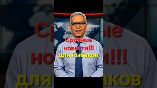 "50 лайков — и колокольчик пойдёт ловить сазана!"