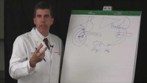 What is the Whipple Procedure?