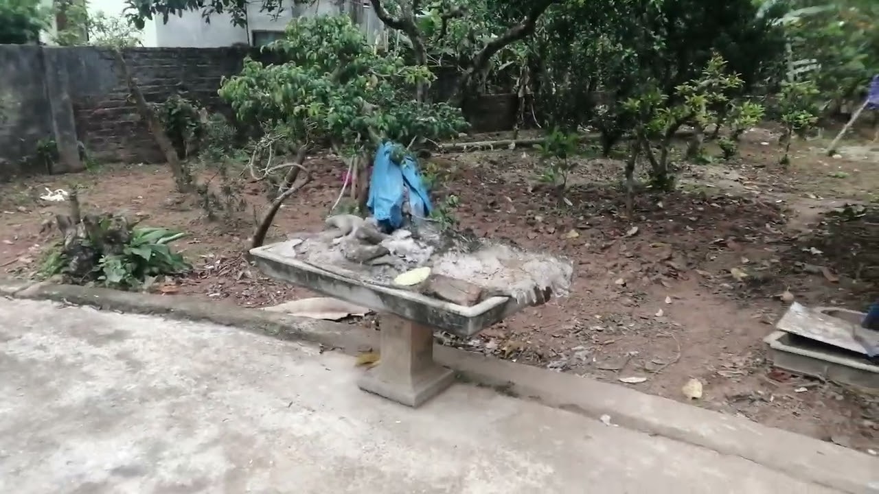 Chúc tết Nhà bác Chính