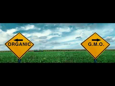 GMO-გენმოდიფიცირებული პროდუქტები.
