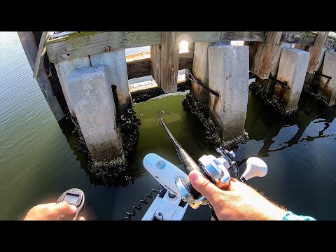 Bridge Monster Nearly Snaps My $700 Rod