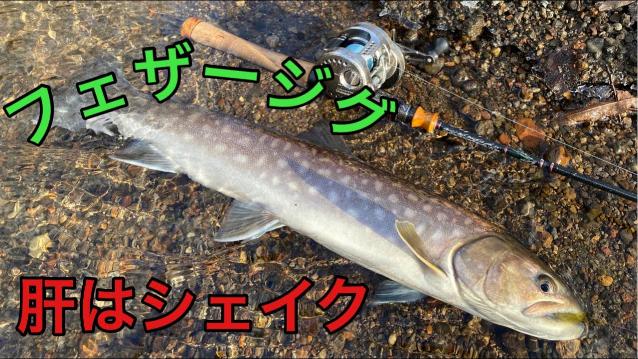 フェザージグアラカルト 自然河川でフェザージグを使った釣り！肝はシェイク！北海道湿原河川の
