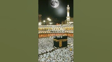 سورة النمل  الاية 19 #المصحف #الرحمن #اكسبلور