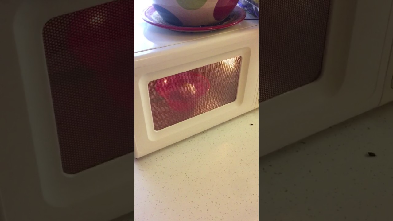 Exploding egg in microwave - YouTube
