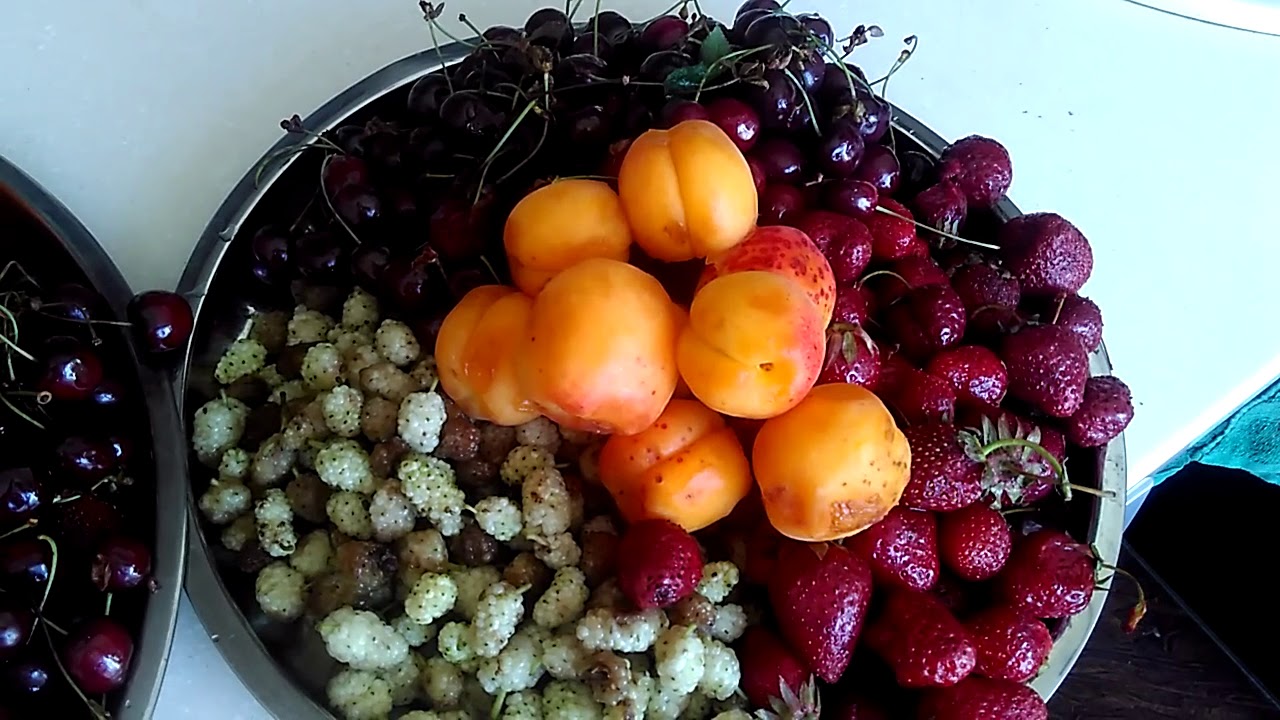 Какие фрукты есть в мае. Фрукты Дагестана. Фрукты Кавказа. Ягода растущая в Дагестане. Дагестанские фрукты и ягоды.