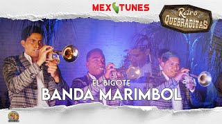 🎥 Banda Marimbol - El Bigote (Video Oficial) Retro Quebraditas 4K