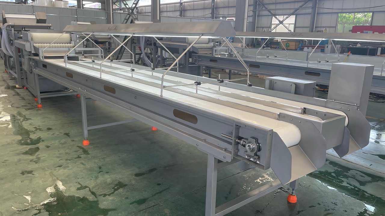 Palm dates processing machine dates clean machine sorting machine - YouTube